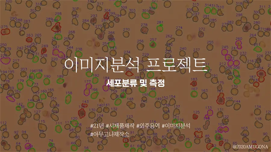 이미지 분석과 컬러셋을 활용한 세포 분류 프로젝트